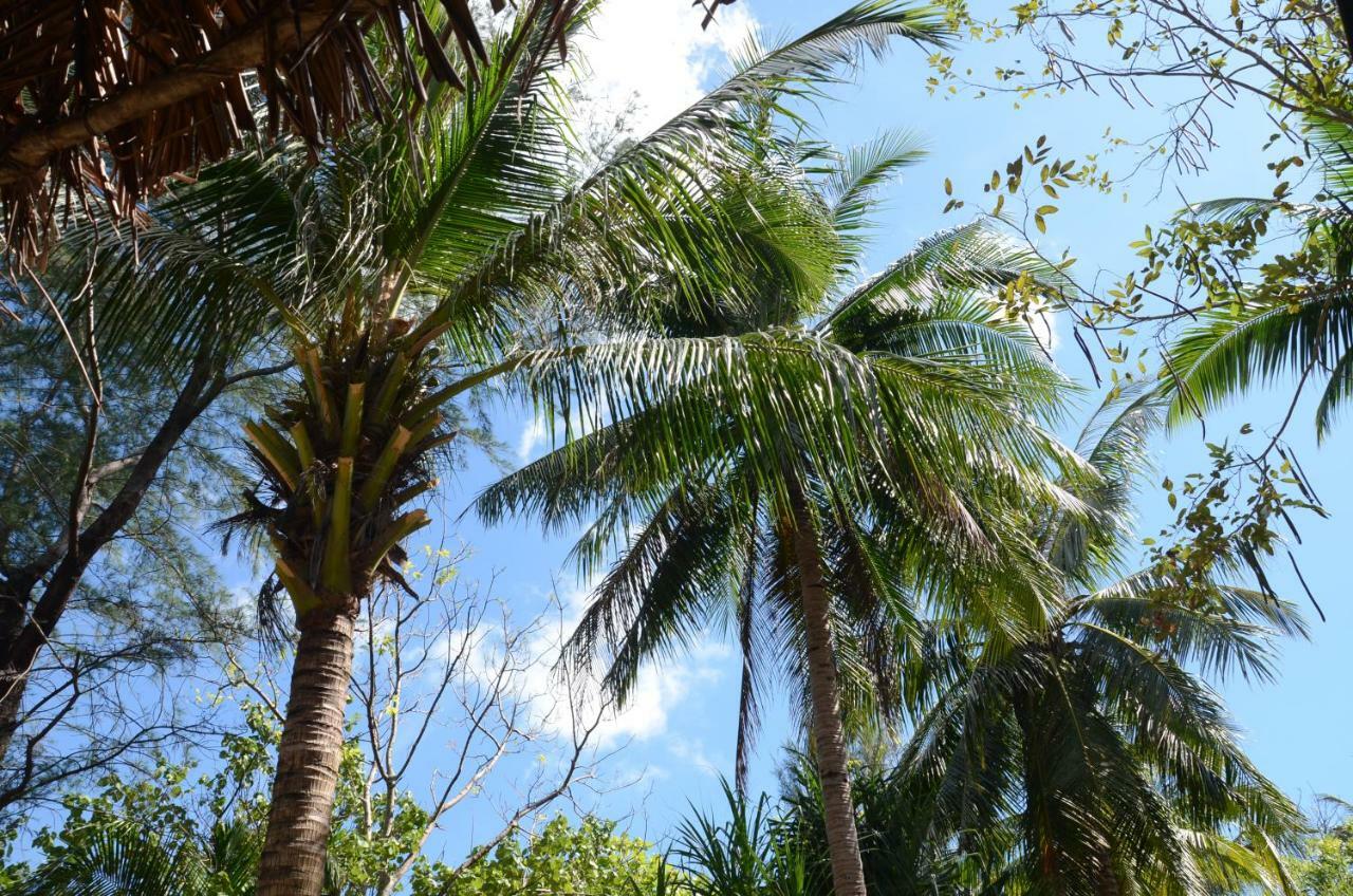 Reggae Island Private Island Hotel Koh Phayam Exterior photo