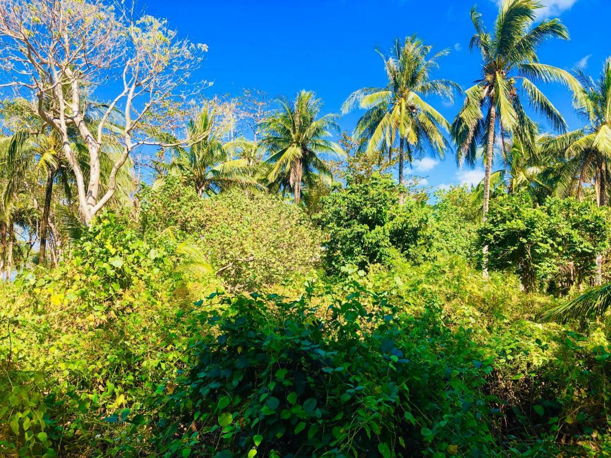 Reggae Island Private Island Hotel Koh Phayam Exterior photo